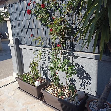 Apartman Lara Zadar Lägenhet Exteriör bild